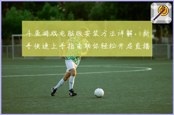 斗鱼游戏电脑版安装方法详解，新手快速上手指南助你轻松开启直播娱乐体验