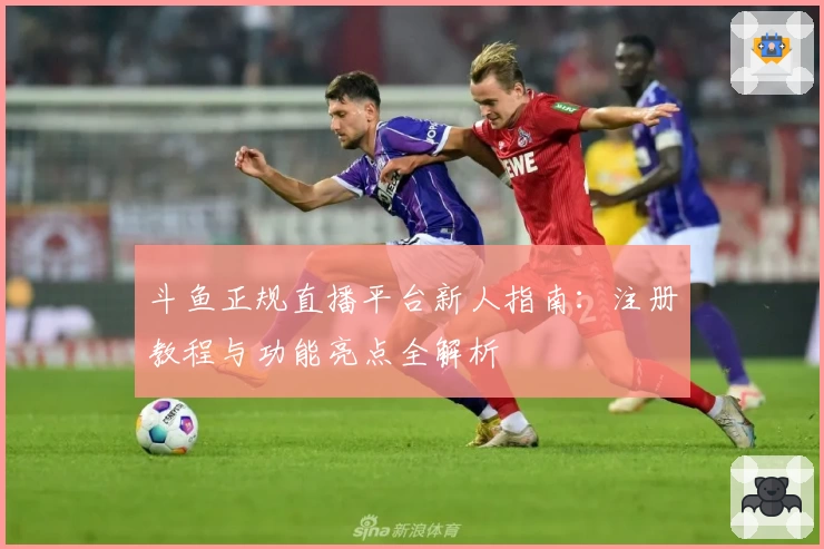 斗鱼正规直播平台新人指南:注册教程与功能亮点全解析