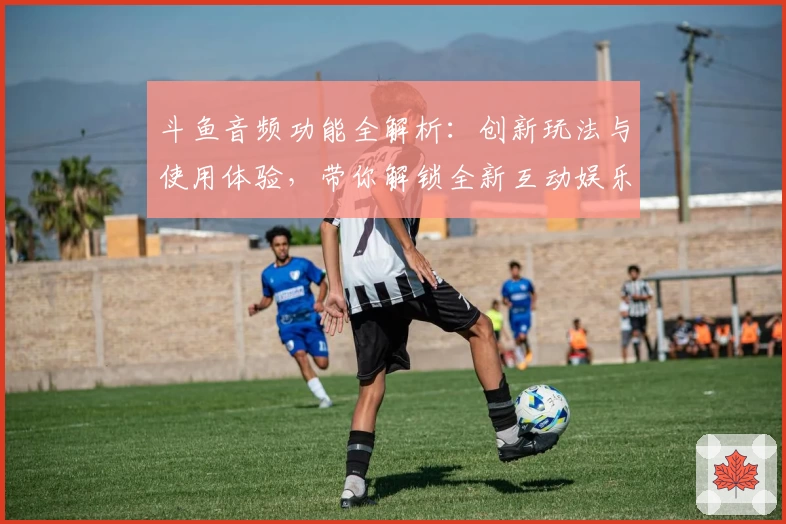 斗鱼音频功能全解析:创新玩法与使用体验,带你解锁全新互动娱乐方式