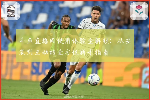 斗鱼直播间使用体验全解锁：从安装到互动的全方位新手指南