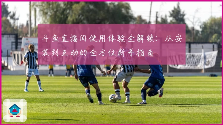 斗鱼直播间使用体验全解锁：从安装到互动的全方位新手指南