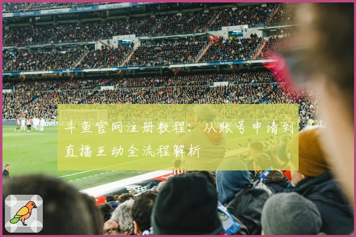 斗鱼官网注册教程：从账号申请到直播互动全流程解析