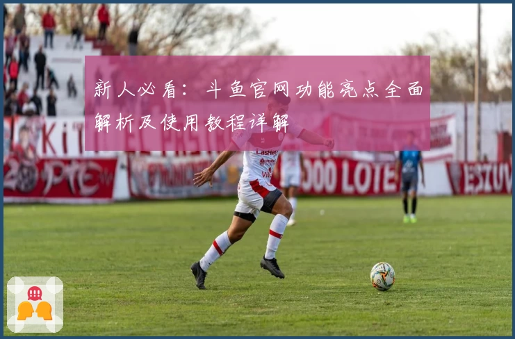 新人必看：斗鱼官网功能亮点全面解析及使用教程详解