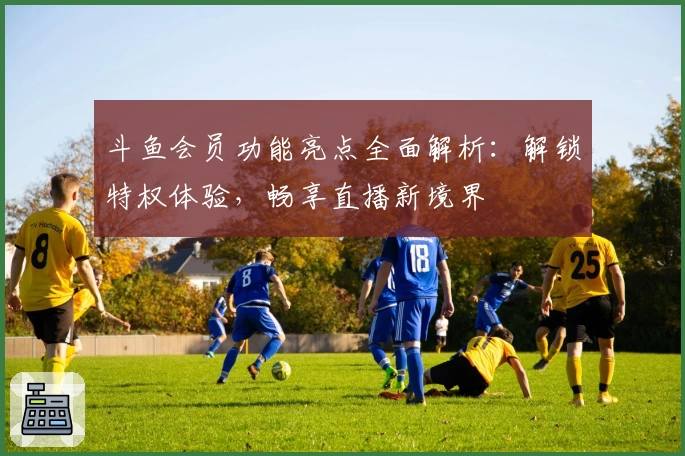 斗鱼会员功能亮点全面解析：解锁特权体验，畅享直播新境界